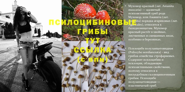 круглые Волосово
