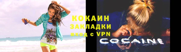 индика Вяземский