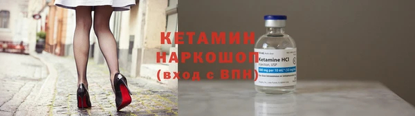 индика Вяземский
