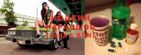 индика Вяземский