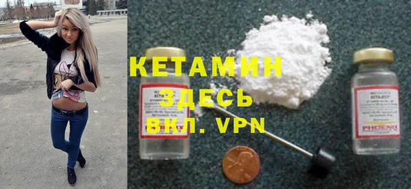 индика Вяземский