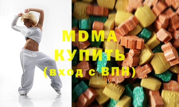 индика Вяземский