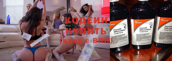 индика Вяземский