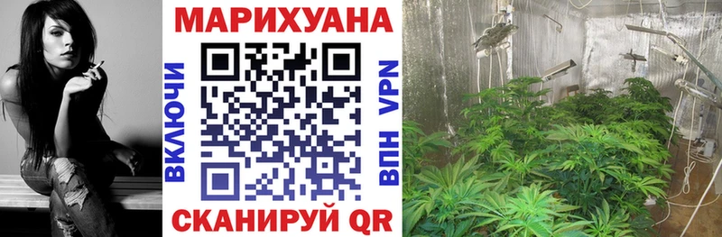 Каннабис Ganja  где найти   Гусев 